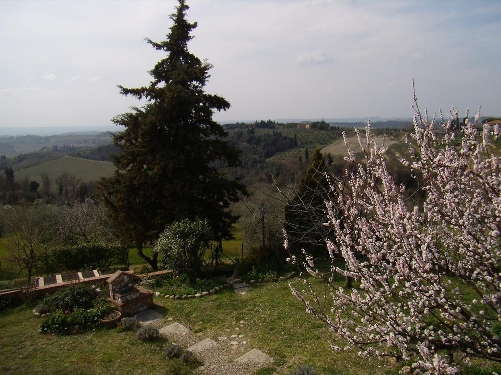 Nido Di Rondine Διαμέρισμα Montespertoli Εξωτερικό φωτογραφία