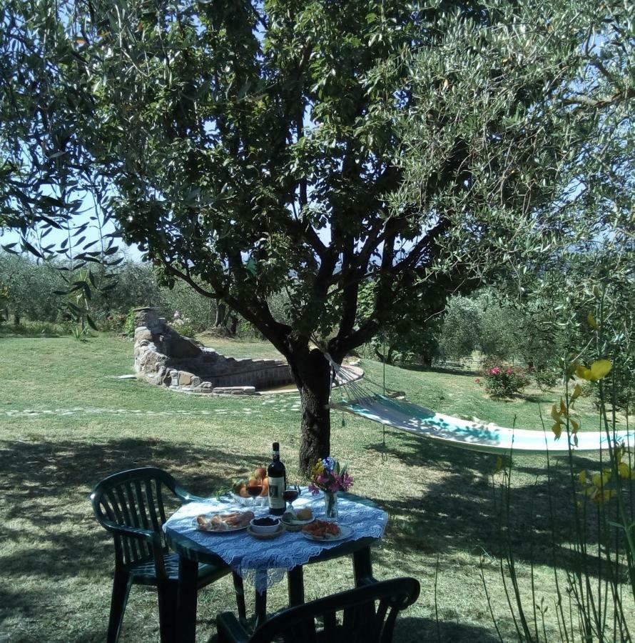 Nido Di Rondine Διαμέρισμα Montespertoli Εξωτερικό φωτογραφία